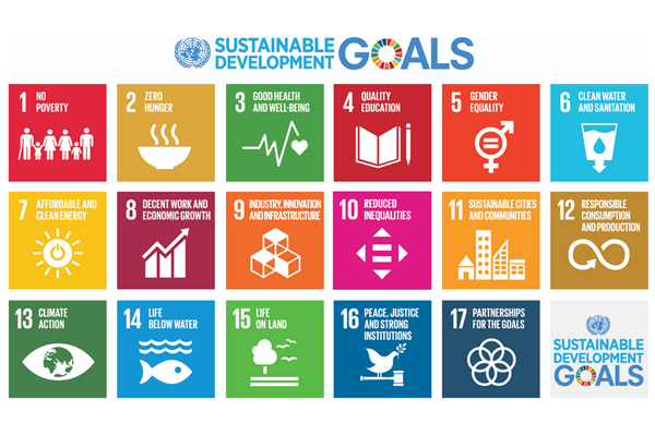 SDG Logo